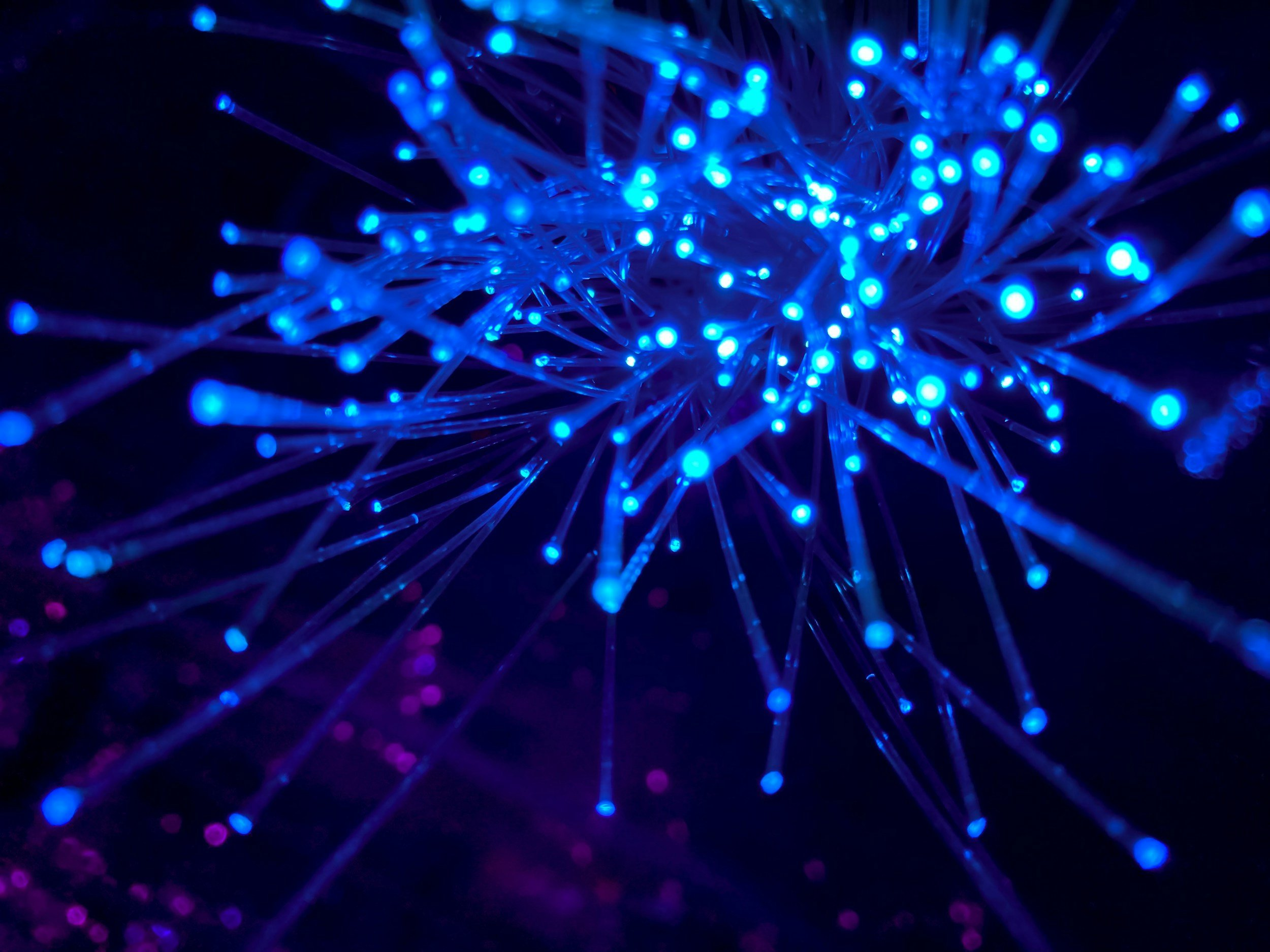 Waterproof joints and heat shrink splice protectors for fiber networks